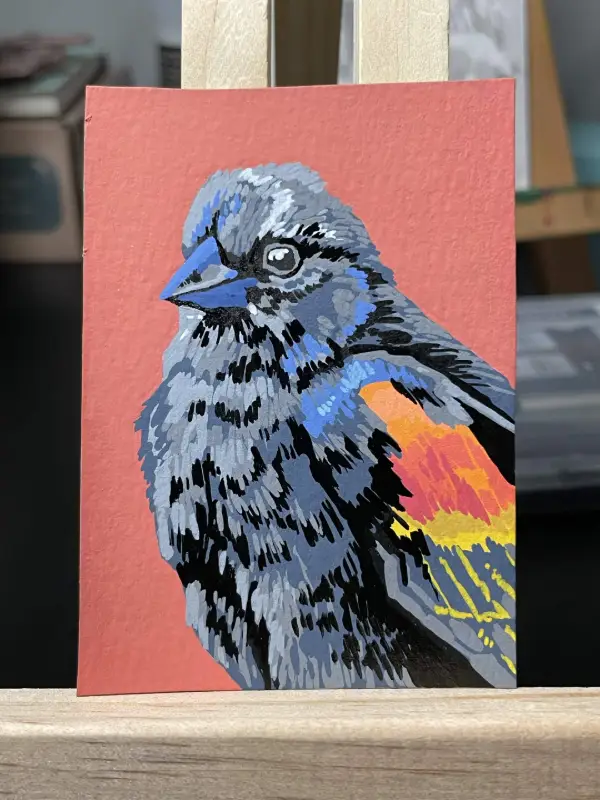 Red Winged Black Bird aceo art card