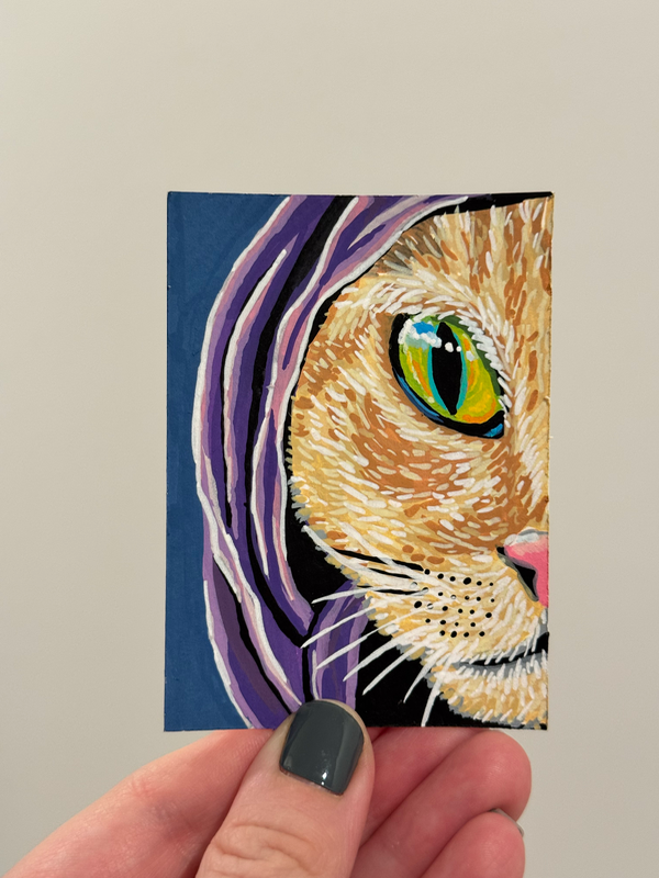 Ninja cat aceo art card