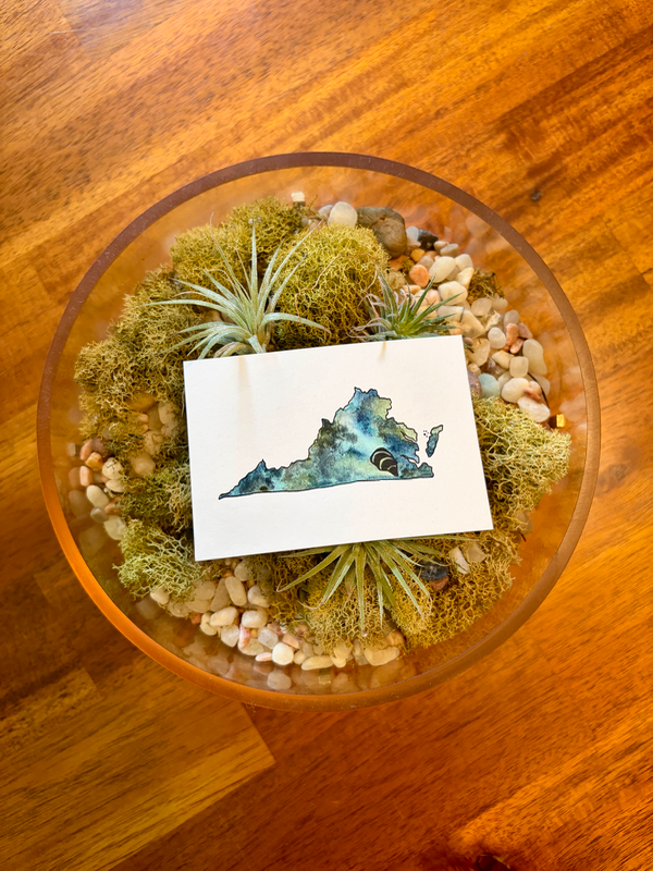 Virginia: Oyster aceo art card