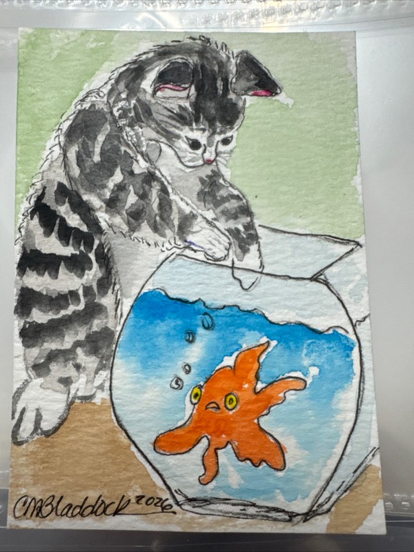 Curious Kitten aceo art card