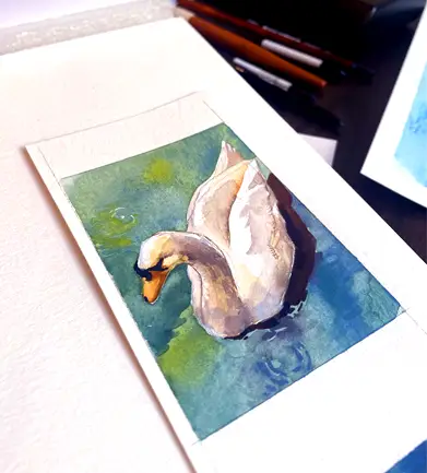 Swan in Lucerne, Watercolor aceo art card