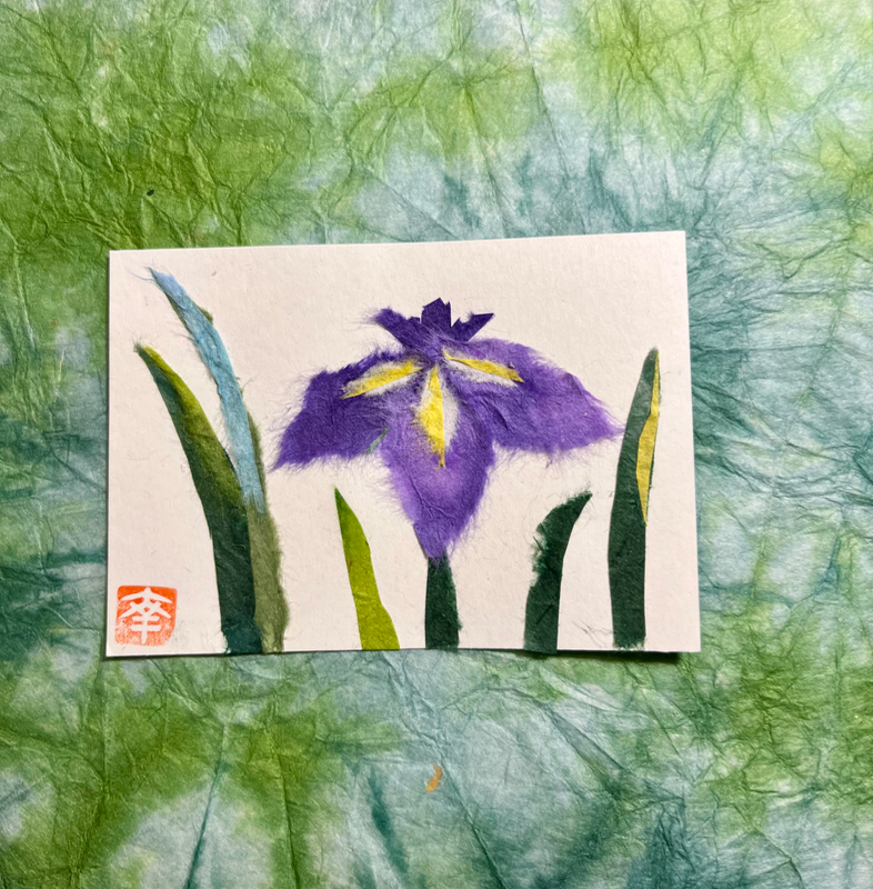 Ayame (iris) aceo art card