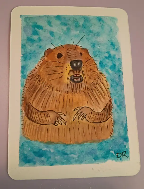 Beaver aceo art card