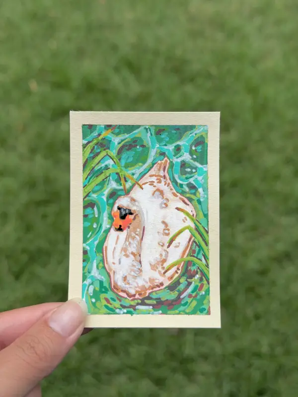 Swan in a Pond aceo art card