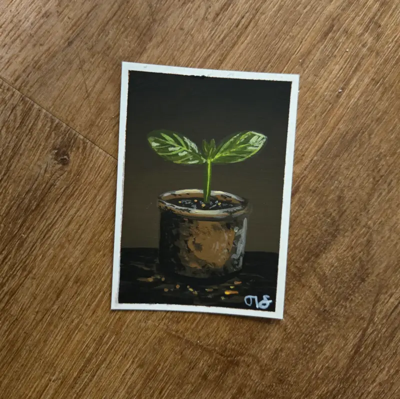 Seedling aceo art card