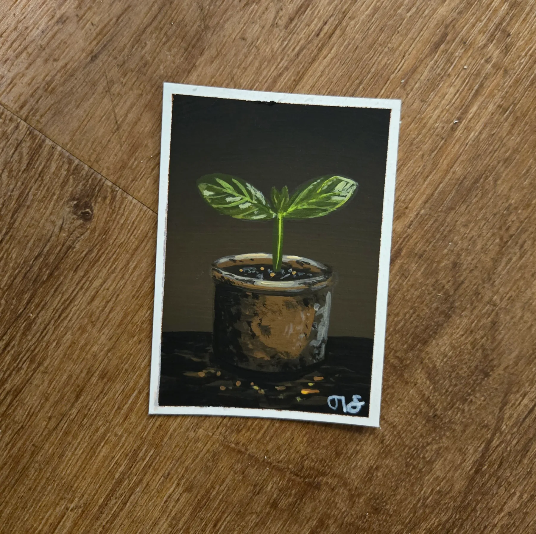 Seedling aceo art card