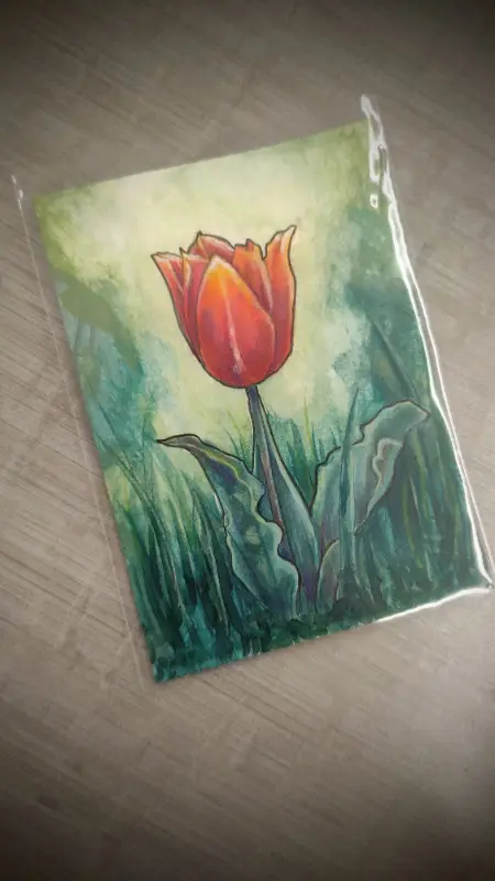 Tulip of Flames aceo art card