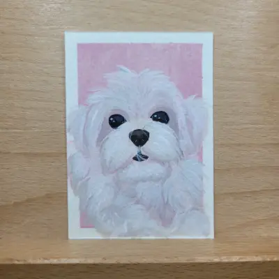 Maltese aceo art card thumbnail 1