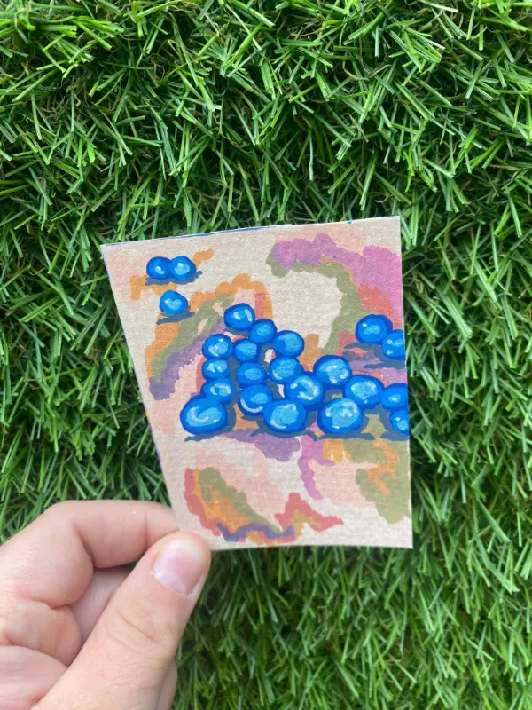 Enterococcus faecalis aceo art card