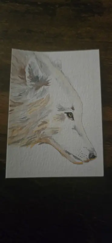 First Snows aceo art card