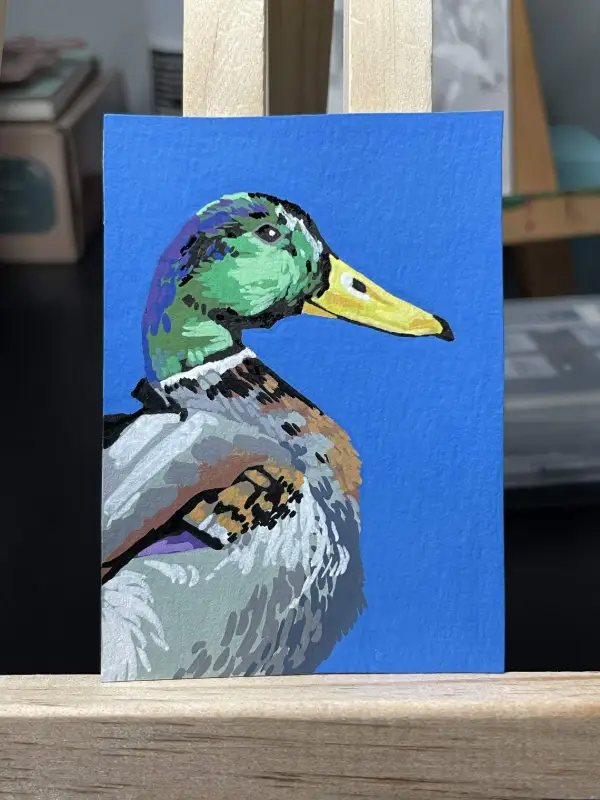 Mallard Duck aceo art card
