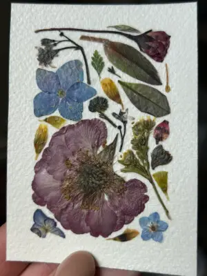Pressed Flowers #8 aceo art card thumbnail 2