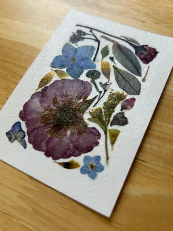 Pressed Flowers #8 aceo art card
