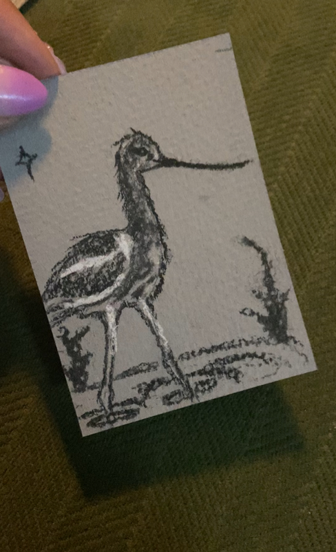 Avocet aceo art card