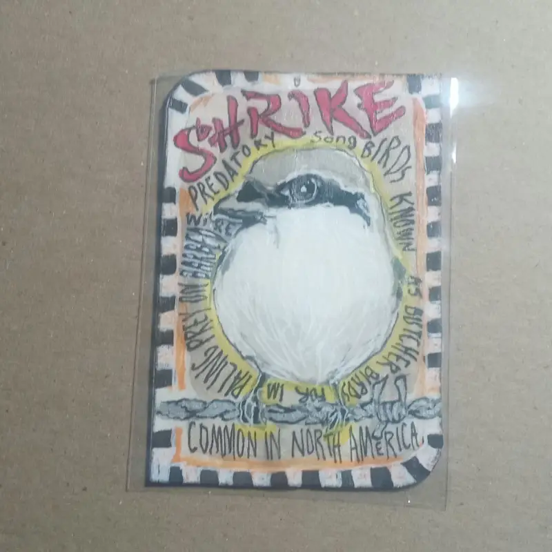 Birds aceo art card