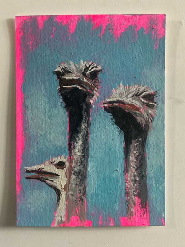 Ostriches 2 aceo art card