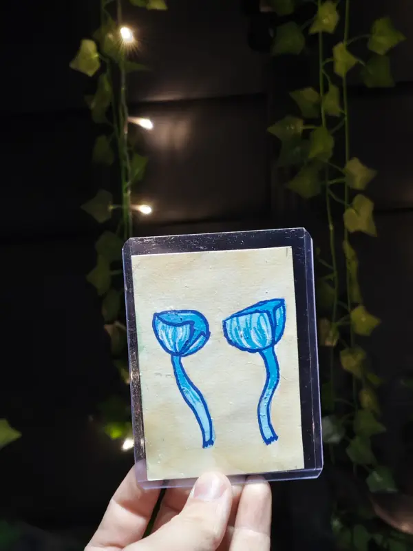 Entoloma Hochstetteri aceo art card