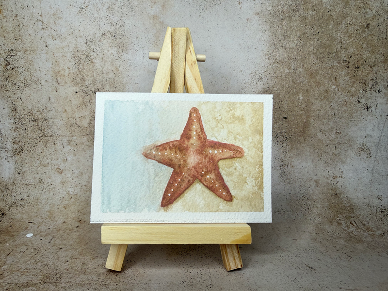 Starfish aceo art card