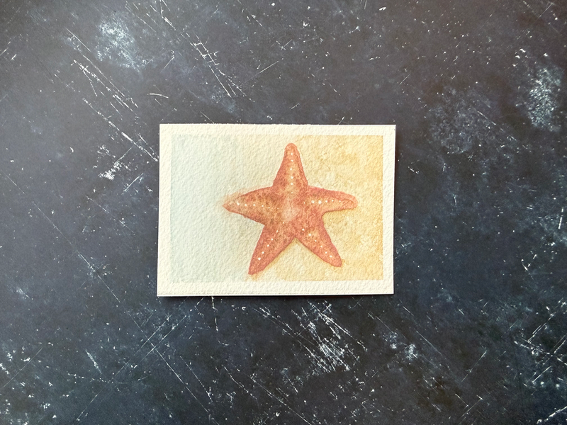 Schrödinger’s Starfish aceo art card