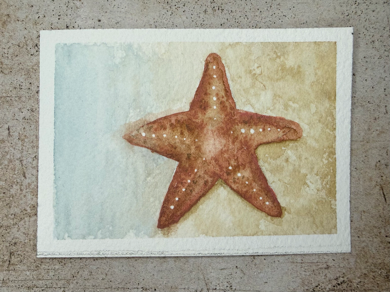 Schrödinger’s Starfish aceo art card