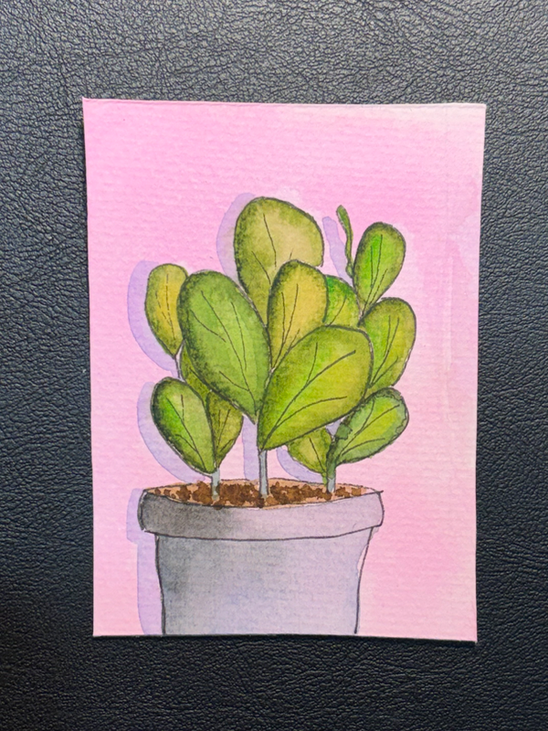Seedlings aceo art card
