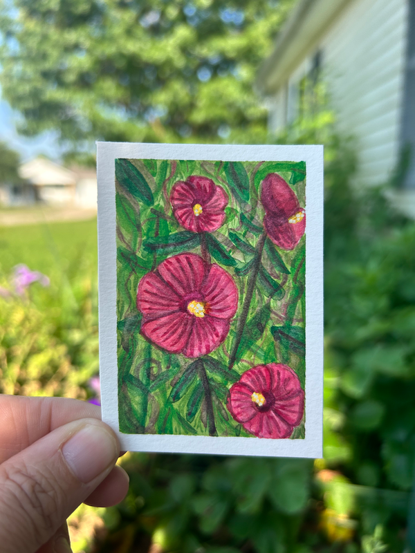 Red hibiscus aceo art card