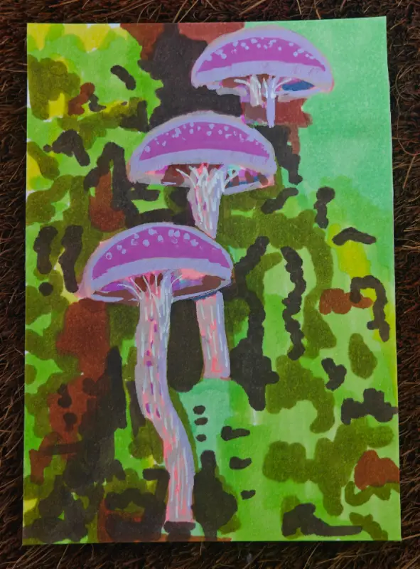 Mushrooms #4 - Amethyst Deceiver aceo art card