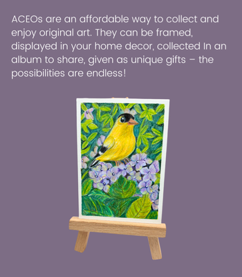 Goldfinch on Hydrangeas ACEO - Colored Pencil on Illustration Board aceo art card thumbnail 3