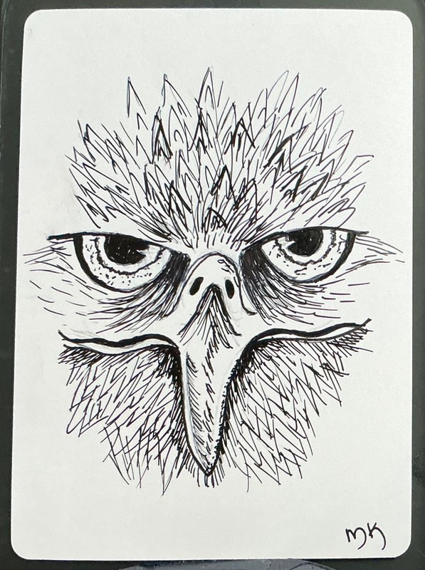 Resting Beak Face aceo art card