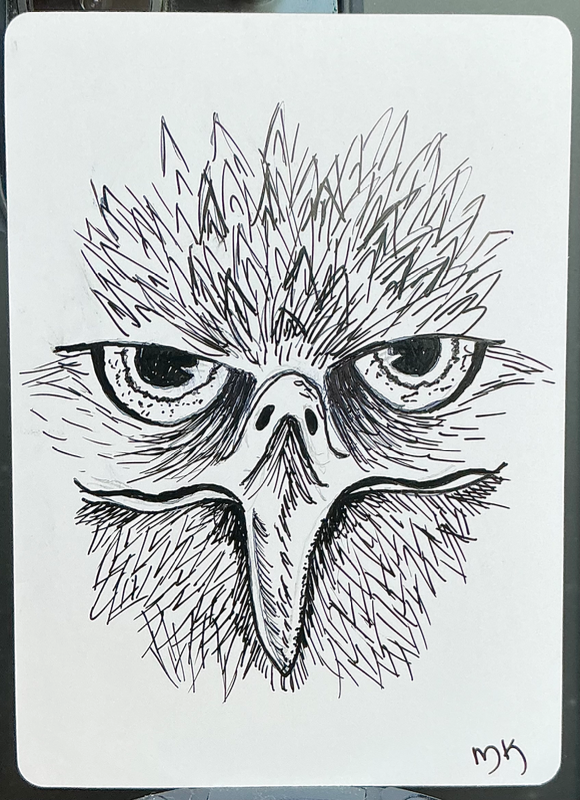 Resting Beak Face aceo art card