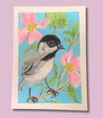 Carolina Chickadee ACEO - Colored Pencil Drawing - Songbird Mini Art aceo art card thumbnail 2