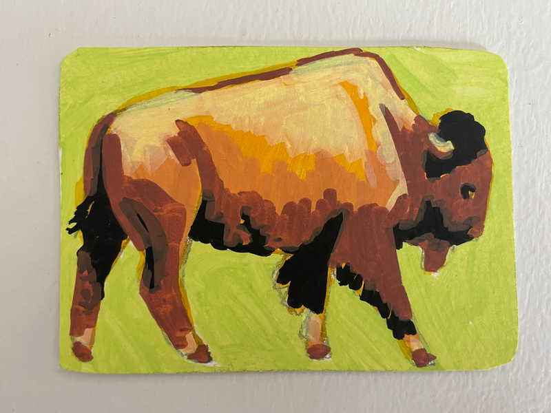 Megafauna Buffalo - wildlife portrait by Norah Mae aceo art card