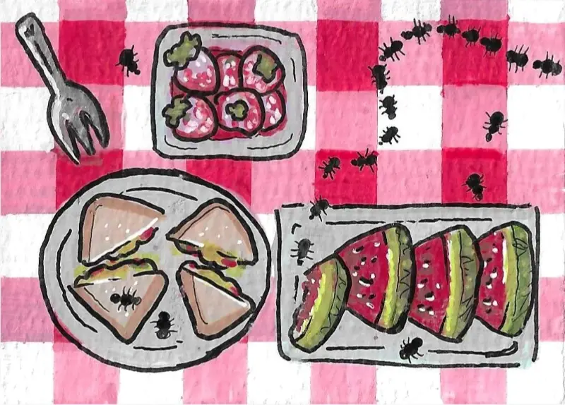 Ant Picnic aceo art card