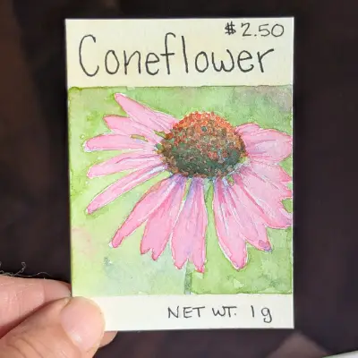 Coneflower Seed Packet ACEO aceo art card thumbnail 2