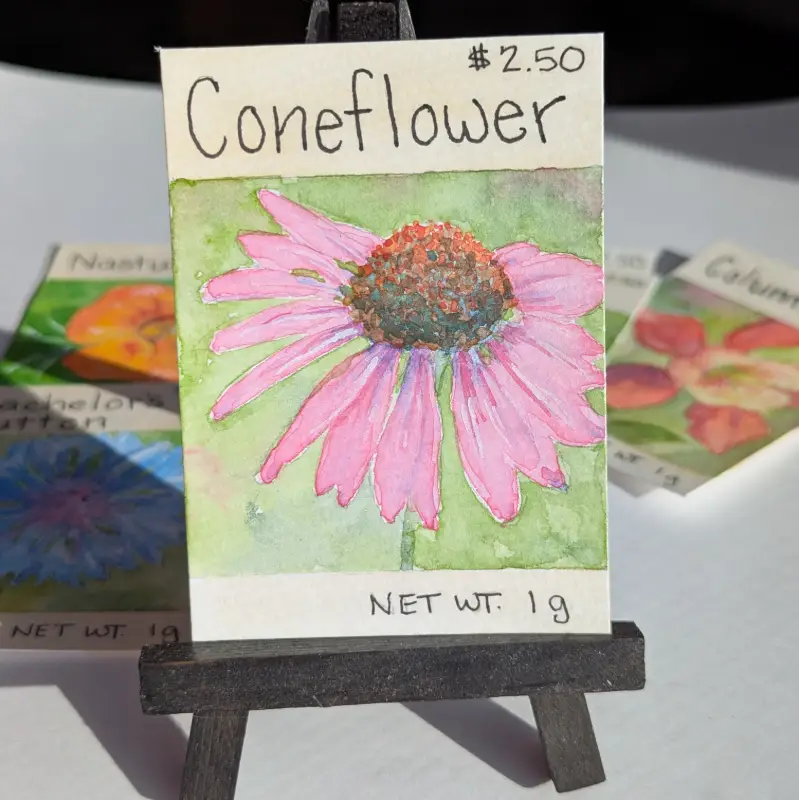 Coneflower Seed Packet ACEO aceo art card