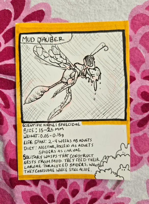 Mud Dauber aceo art card