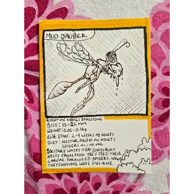 Mud Dauber aceo art card thumbnail 1