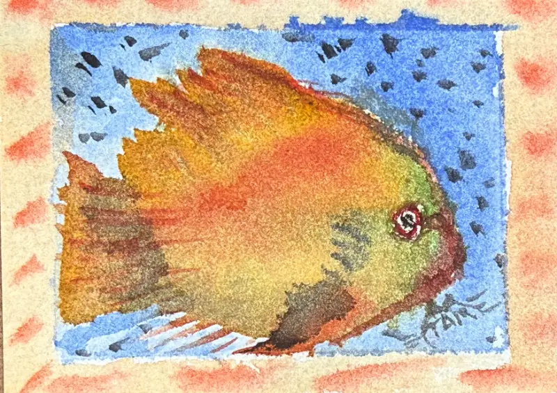 Little Explorer aceo art card