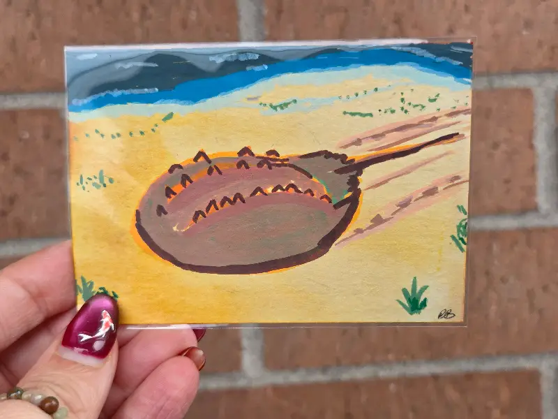 The Perfect Creature (Horseshoe Crab) aceo art card