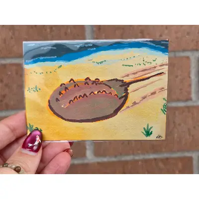 The Perfect Creature (Horseshoe Crab) aceo art card thumbnail 1