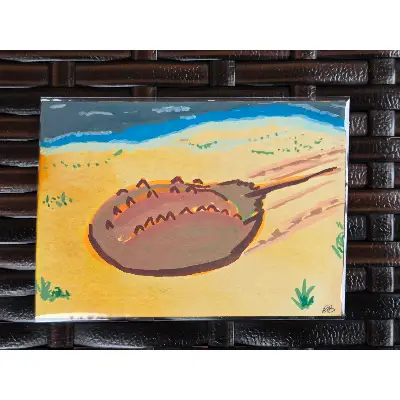 The Perfect Creature (Horseshoe Crab) aceo art card thumbnail 2