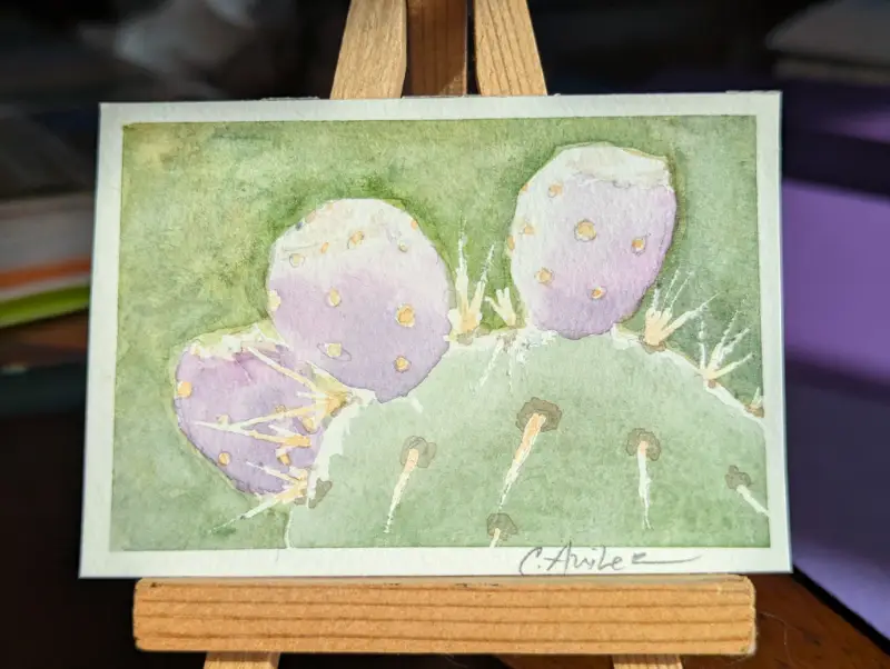 ACEO Original Watercolor Prickly Pear Optunia Tunas Cactus Fruit aceo art card