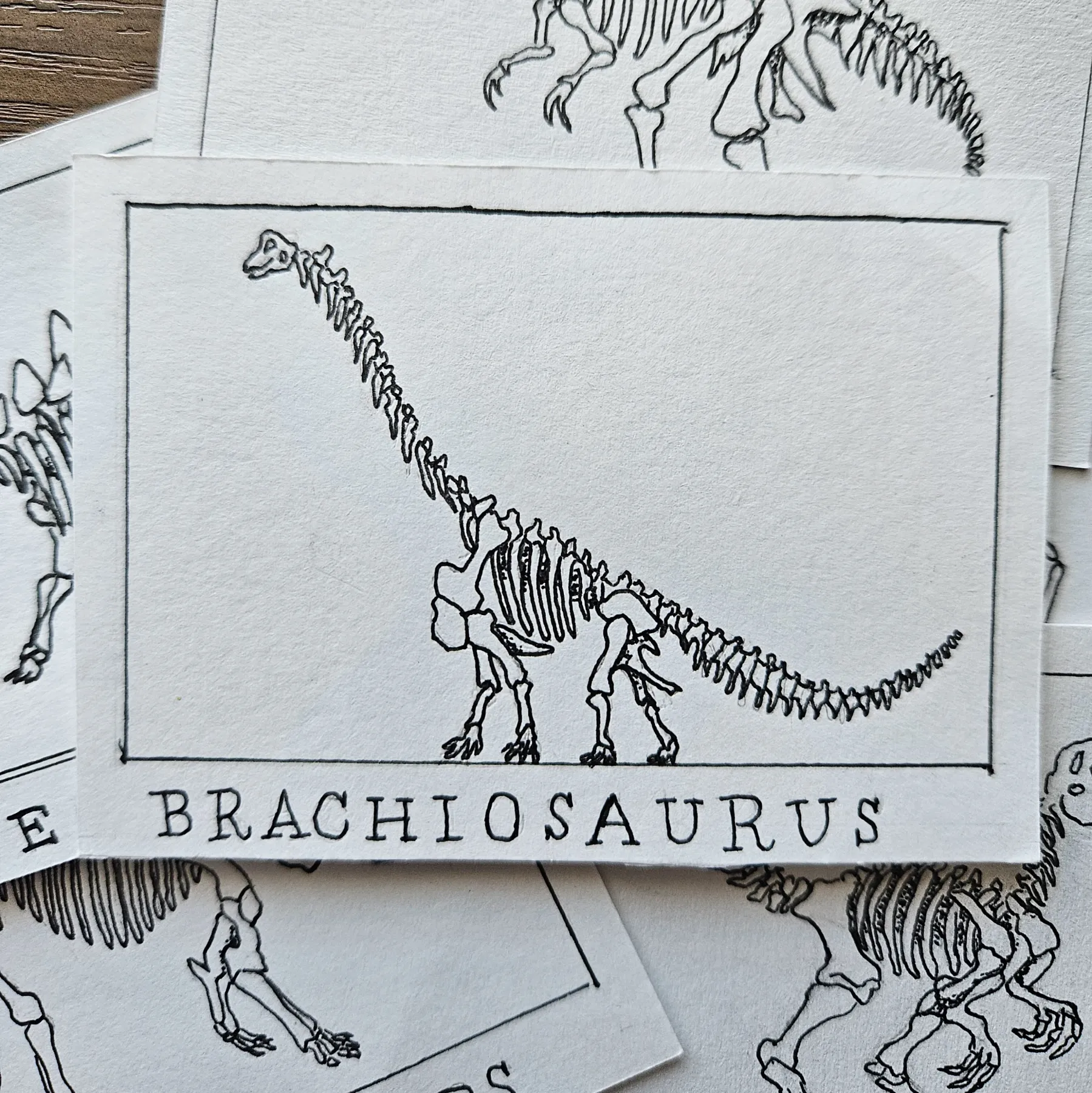 Ink Pocket Paleontology #3 aceo art card