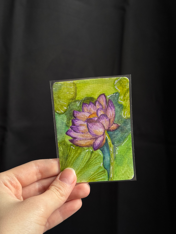 Purple Pond Lily Flower aceo art card