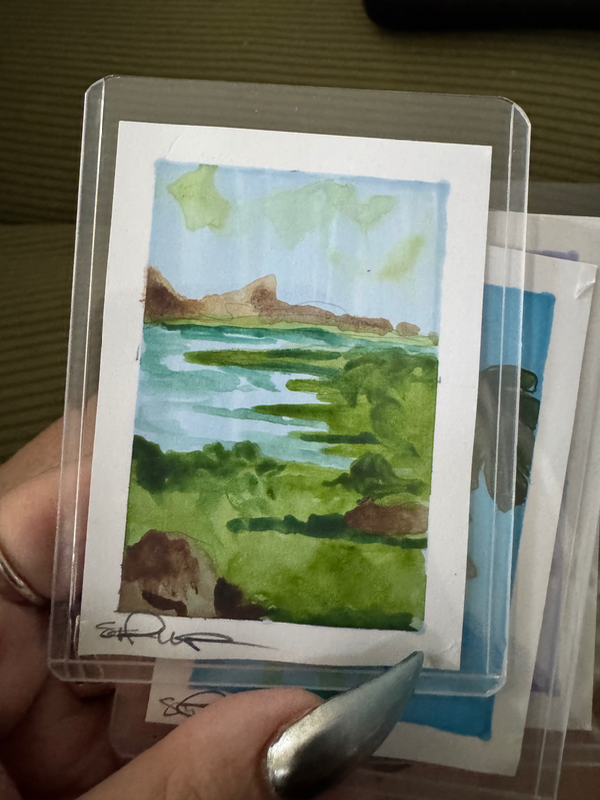 Marsh Views aceo art card