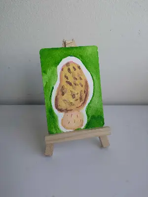 Morel Mushroom aceo art card thumbnail 2