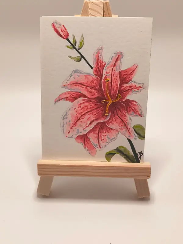 Pink Lily 002 aceo art card
