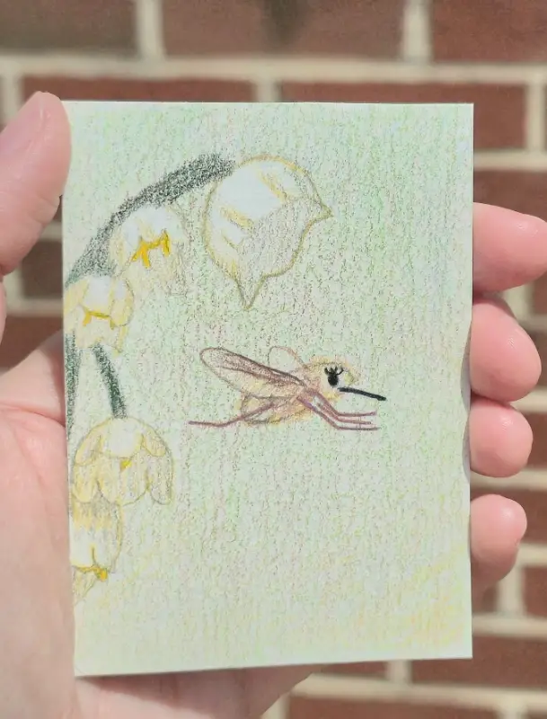 Bee fly and flower aceo art card