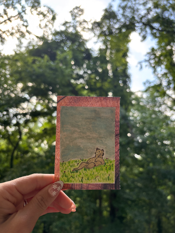 Taken it easy (Bear enjoys the view) aceo art card