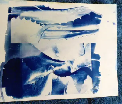Agave Leaf Original Art Cyanotype ACEO aceo art card thumbnail 5